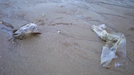 mahim, playa sucia, escombros marinos en primer plano en mumbai