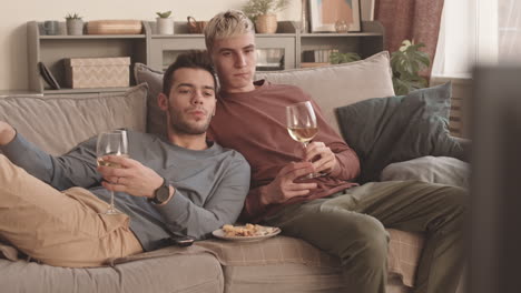 young gay couple drinking wine and watching tv