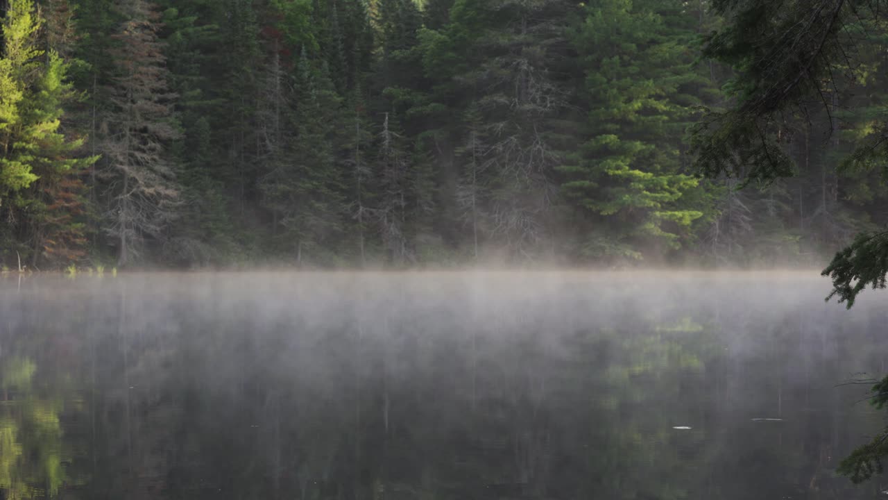 알곤퀸 공원, 해가 뜨면 호수에서 피어오르는 증기