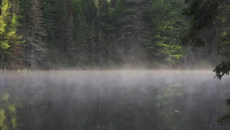 algonquin park, steam rising on a lake at sunrise