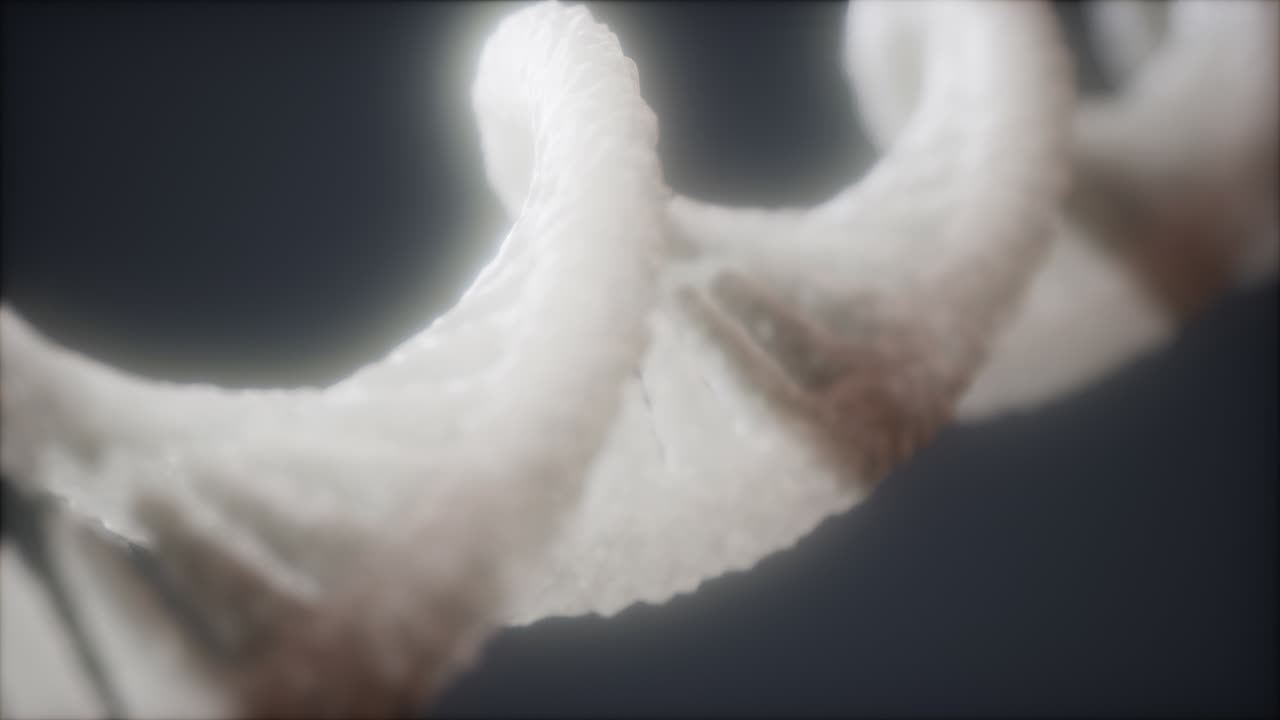 dnaダブルヘリックスアニメーションのループ可能な構造