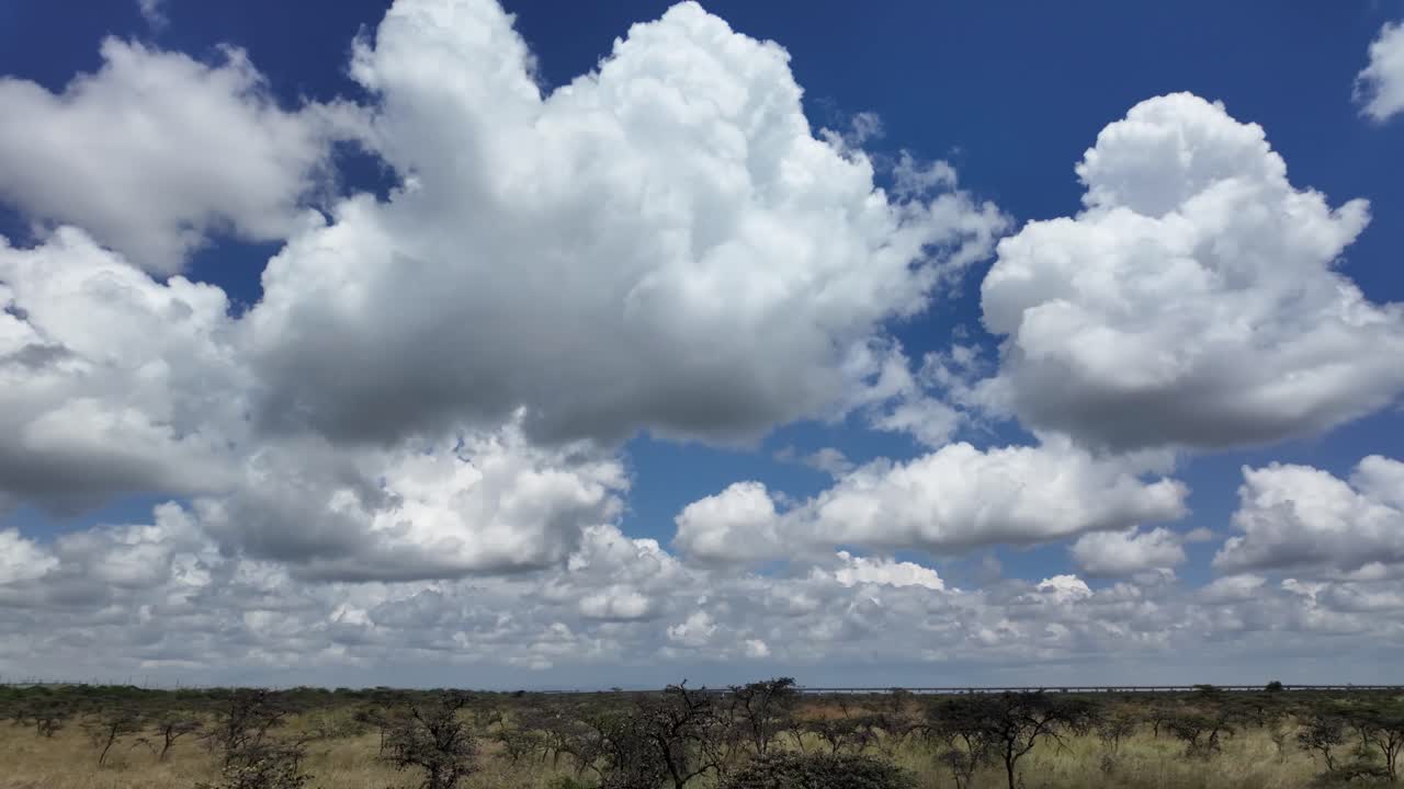 cámara moviendo lado camino en un parque nacional cielo azul con con nubes y árboles y sabana