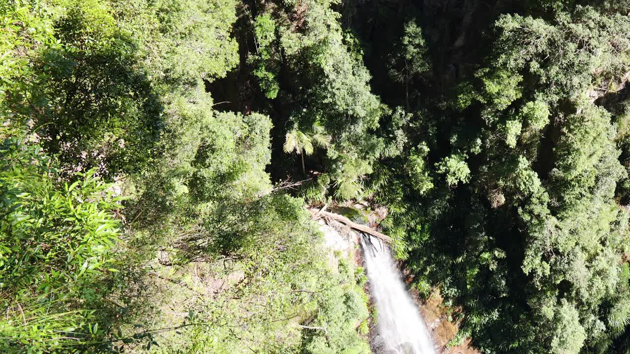 imágenes de drones capturando una cascada en medio de una exuberante vegetación