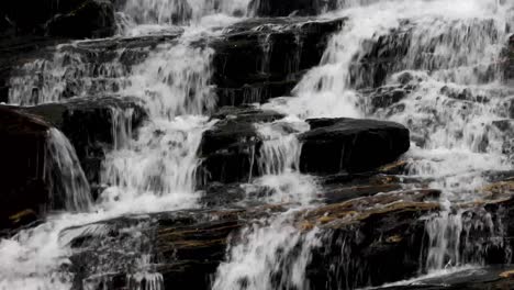 pearson's falls close up loop