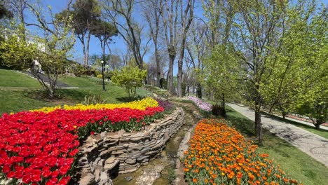 istanbul tulip festival.