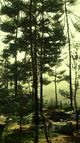 illuminated by the gentle glow of dawn the misty horizon reveals distant hills
