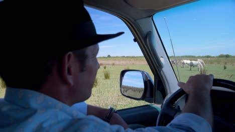 Cowboy-Mann-Fährt-Mit-Seinem-Auto-Auf-Die-Pferdemeute-Zu,-Um-Sie-Zu-Beobachten,-Wie-Es-Ihnen-Geht