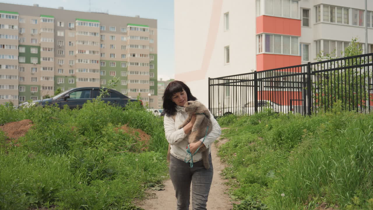Woman Walks Cat, Casual Walk With Feline Close By, Leisurely Journey Of Woman And Her Gray Feline Companion, Woman Ambles Gently With Her Gray Cat Adjacent To Apartment Buildings And Nature