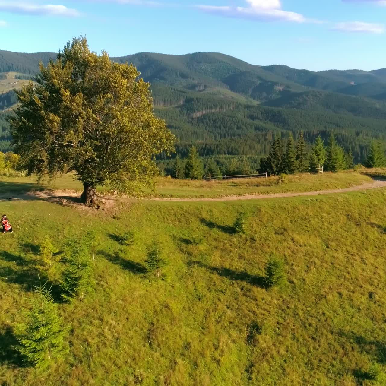Music in nature. Musician performing music among amazing scenery in the mountainous area. Cellist on beautiful wild nature background
