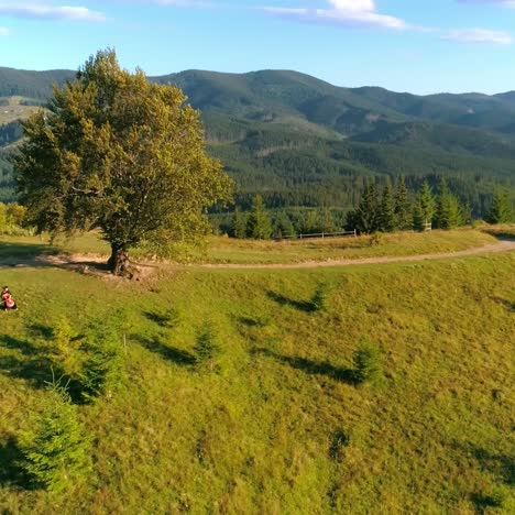 music in nature. musician performing music among amazing scenery in the mountainous area. cellist on beautiful wild nature background