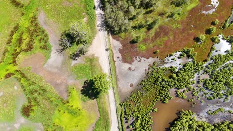 imágenes aéreas de humedales y caminos exuberantes