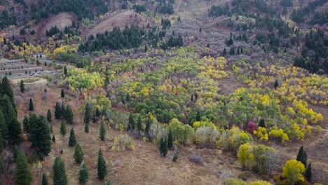 blue hour in snow basin utah among an evergreen and aspen tree forest with mountain background - aerial raise tilt