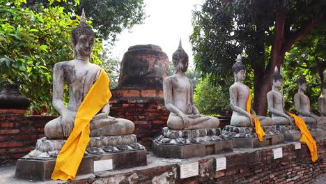 row of buddha statues with yellow sashes