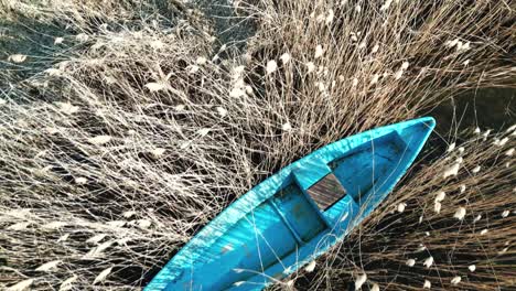 Ein-Blaues-Boot,-Versteckt-Zwischen-Büschen-Und-Schilf-Auf-Dem-See