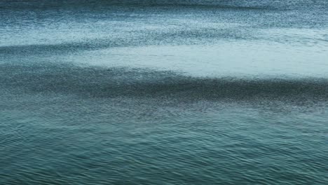 waves rippling on coastal water, blue windy sea surface, water motion background