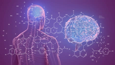 Animation-of-element-diagrams-over-glowing-brain-and-male-x-ray-scan