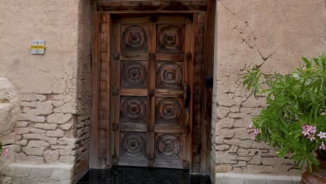 wooden door with potted plant beside it