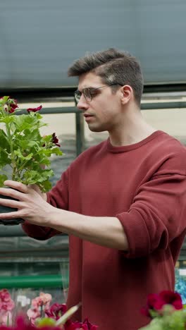 man shopping for flowers in a garden center