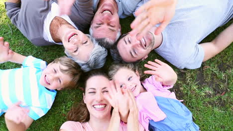 familia extendida acostada en el parque juntos sonriendo a la cámara