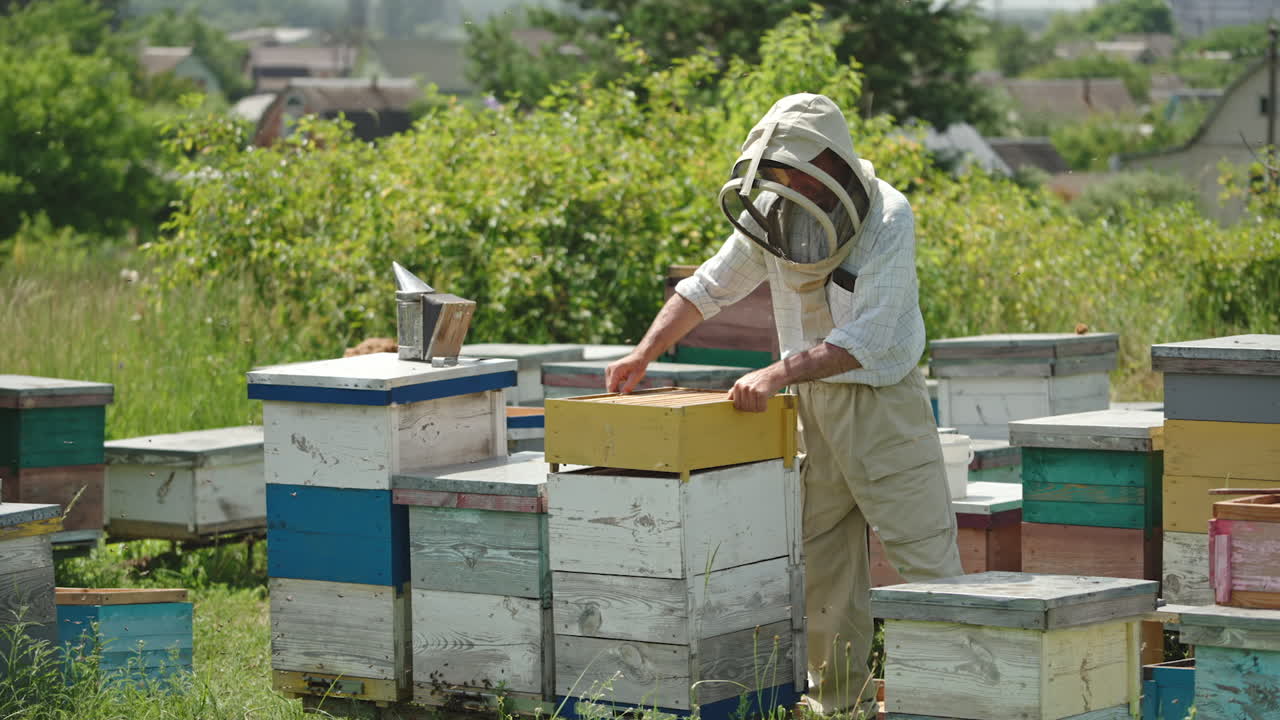 Beekeeper constructing the bee hive from different parts. Apiarist working on his bee farm on sunny summer day.