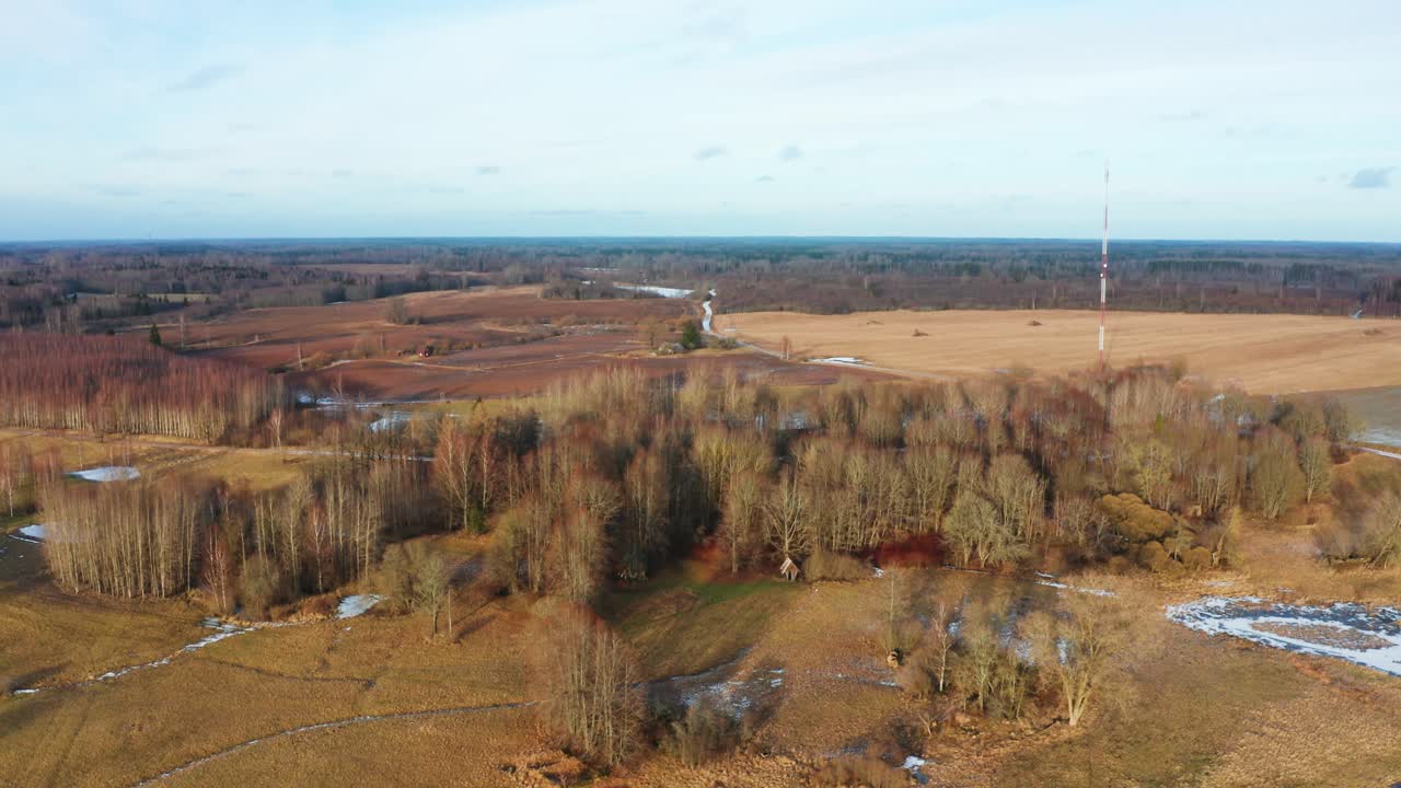 라트비아의 황색 시골 숲과 농경지 풍경의 공중 사진