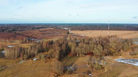 Aerial-view-of-Latvian-yellow-countryside-forest-and-farmland-landscape