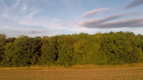 slowly following the dense tree line before revealing beautiful goldern farmland-1