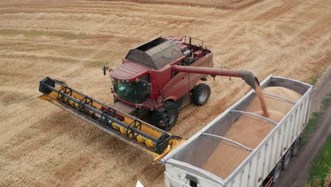 combine harvester loading wheat onto trailer