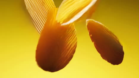 falling potato chips