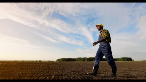 african american farmer working in a field at sunset