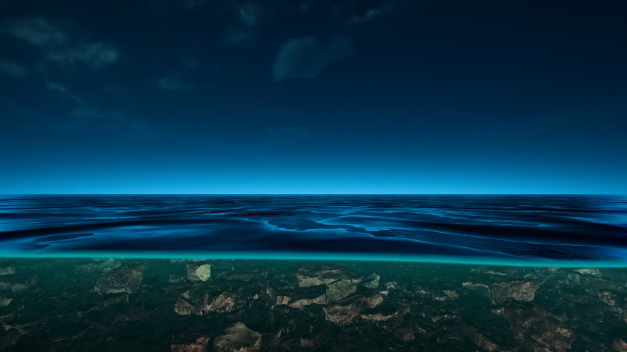 수평선과 수면이 수평선으로 나 ⁇ 어진 수중 시야