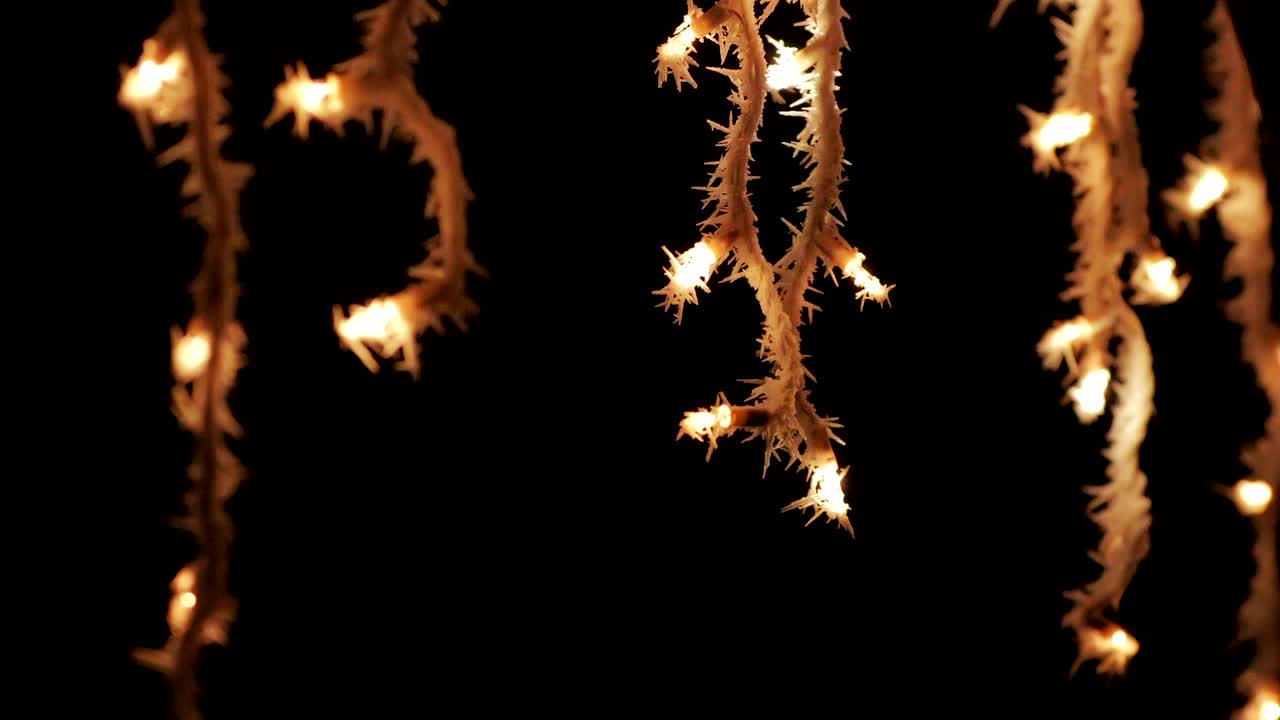 아웃도어 크리스마스 조명 bokeh