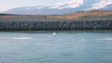 Nordic-landscape-on-shore-of-arctic-ocean-with-stones-and-drifting-ice