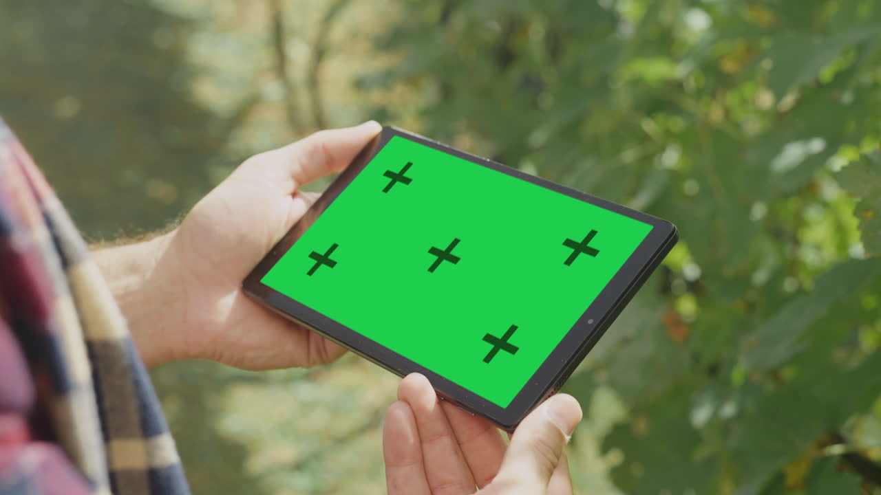 Person Holding Tablet with Green Screen in Vineyard