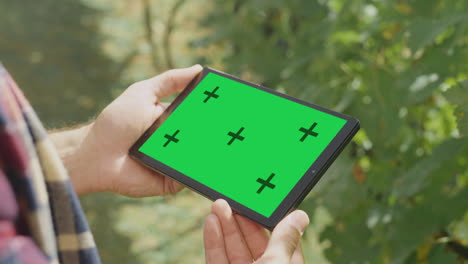 person holding tablet with green screen in vineyard