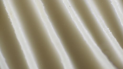twinkling mushroom spores being dispersed from gills