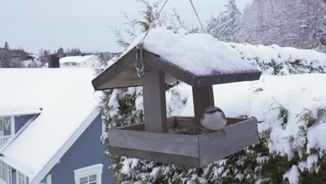 nuthatch bird feeds on snowy birdhouse hanging outdoor in winter