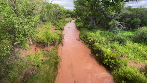 San-Pedro-River-with-green-cottonwood-trees,-tilt-up-shot,-view-from-bridge