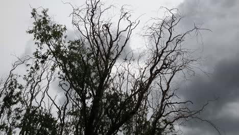 Hail-storm-clouds-forming-cloud-time-lapse,-very-ominous-and-scary-looking-tree-before-heavy-rainfall-and-destructive-hail-stones-rain-down