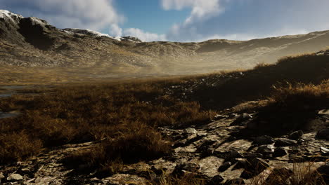 stones covered with grass and moss under bright sky of nepal