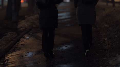 거리에서 고 친근한 대화를 나누는 여성들