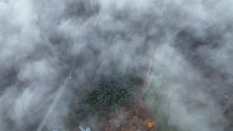 산 위의 아름다운 선린스를 쫓다