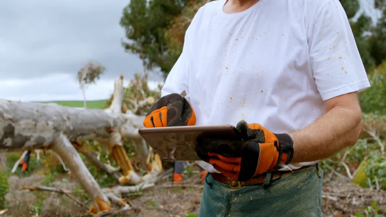 leñador usando una tableta digital en el bosque 4k