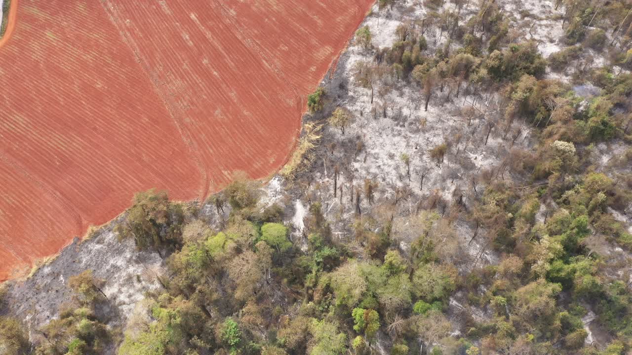 vegetación quemada disparada por un avión no tripulado en campinas, brasil
