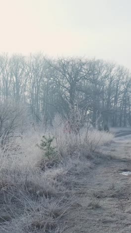 frozen winter landscape with people