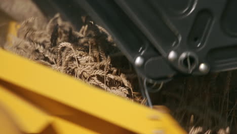 Combine harvester cutting ripe wheat in close-up