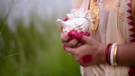 las manos de una mujer india recién casada que lleva un sari sosteniendo una concha de concha en un campo al aire libre