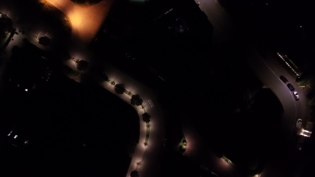 Curvy tree-lined avenue with lighting lantern in American neighborhood. Aerial top down flyover. Peaceful and quiet suburb residential area