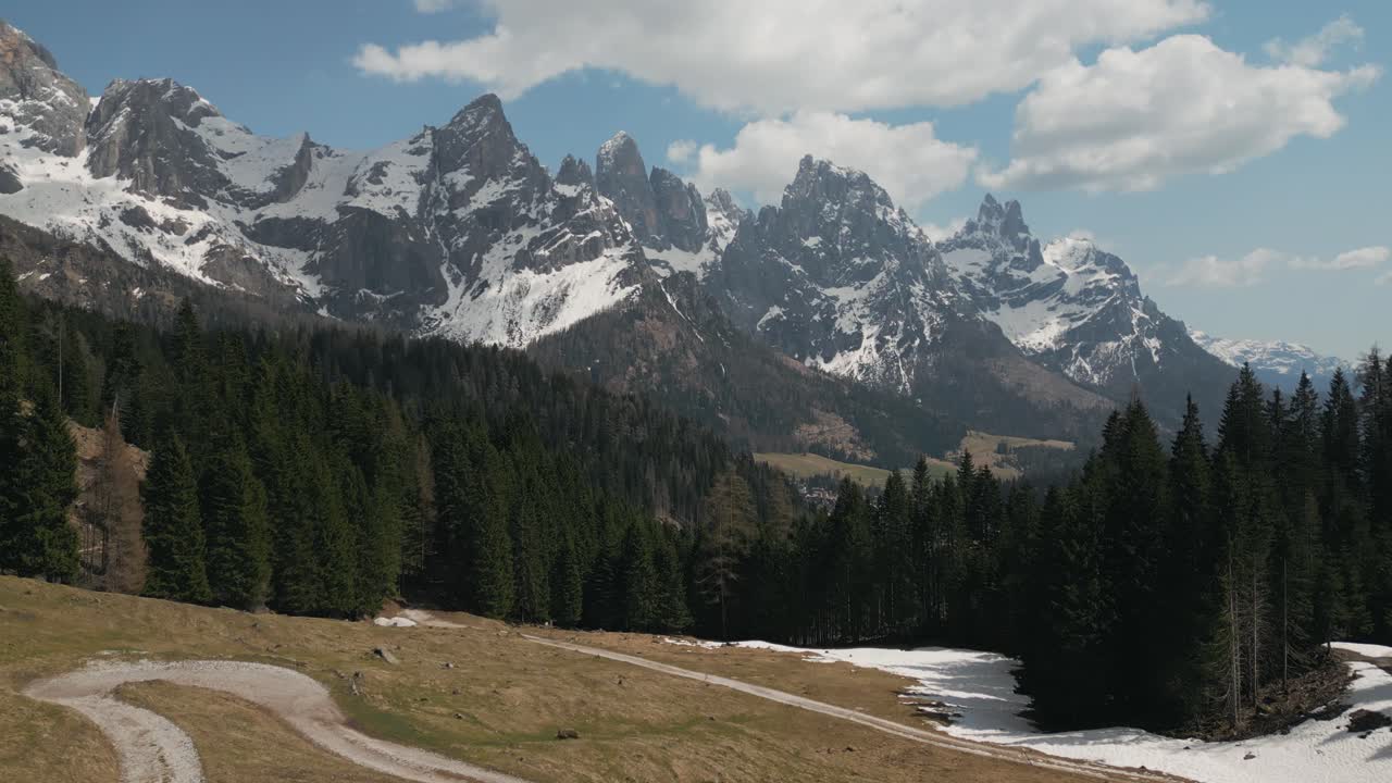 bosque de pinos y montañas de dolomitas en un día soleado en italia