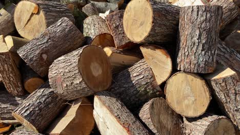 stack of firewoods and logs close up view